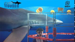 DIA 2 Expo Tiburon98