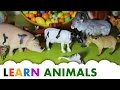 Animals For Kids Learning Animals Names And Sounds English