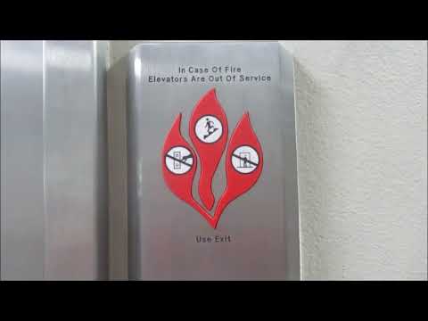 Before & After Original US and Modernized ThyssenKrupp Hydraulic Elevator at Schoolyard Plaza.