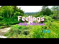 Feelings - Andy Williams lyrics