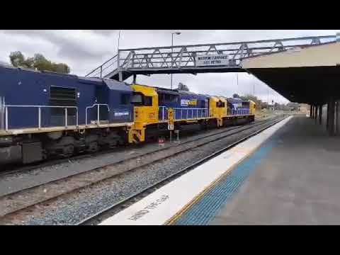 8239 8225 8240 8101 Pacific National shunting duty's at Parkes NSW
