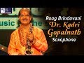 Dr Kadri Gopalnath Saxophone | Raag Brindavani | Carnatic Classical | Instrumental
