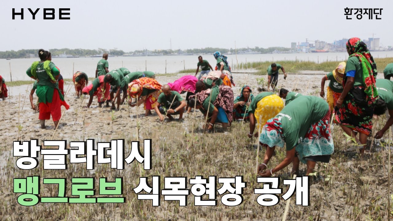 방글라데시 맹그로브 식목현장 공개ㅣ국제 맹그로브 생태계 보존의 날