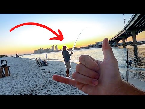 Bridge Fishing for Black Drum: Orange Beach, Alabama
