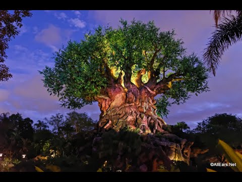 Animal Kingdom gate Area loop