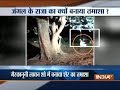 Video of lion teased with a cock tied to the tree goes viral on social media