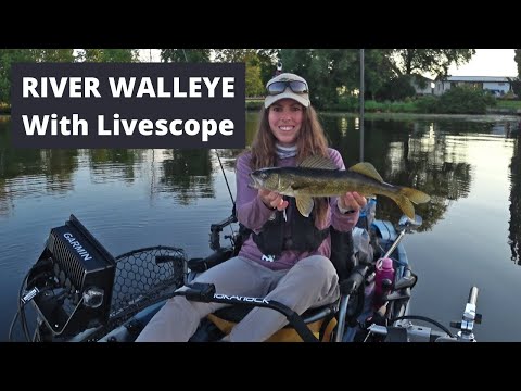First Time with Garmin Livescope in My Kayak for Walleye!