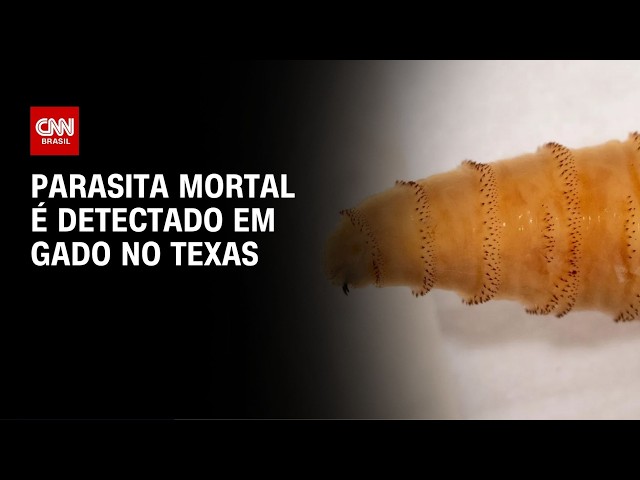 EUA detectam três novos casos de parasita mortal e