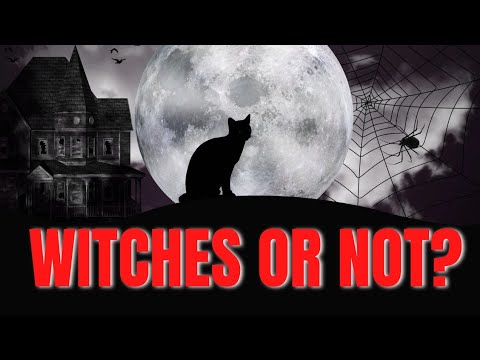 10 Wierdest Superstitions About Cats 2024| Taboos About Cats Around the World