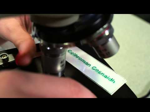 Bòrd na Gàidhlig Science Class 30" Advert - Muckle Hen Productions