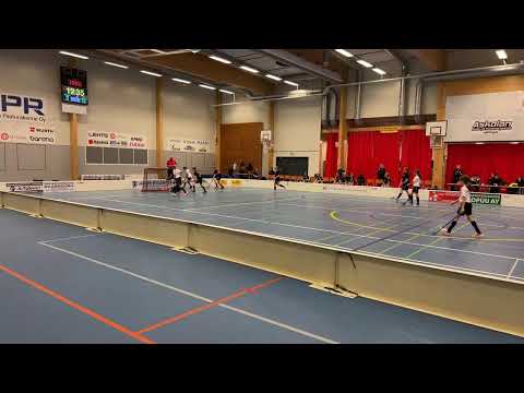 T12 Blackbirds - ErVi