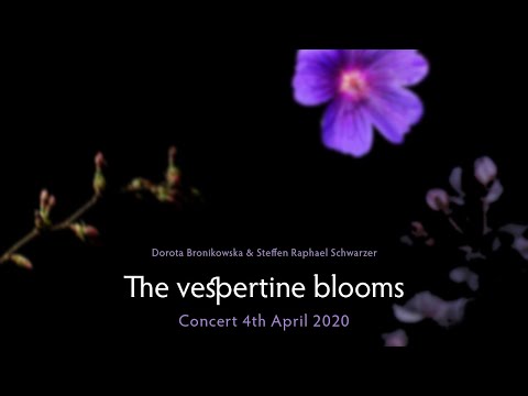 Mahouka Koukou no Yuutousei Vespertine Bloom Jennifer Skidmore