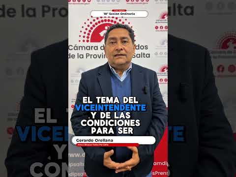 🏛️ Se aprobó la media sanción de la primera Carta Orgánica de Apolinario Saravia ✅📜