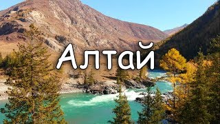 Рыбалка в январе на реках озерах алтайского края черная кобра