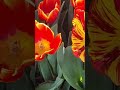 Flowers Shorts Youtube Shorts