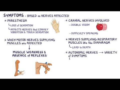 Guillain Barre Syndrome | Osmosis