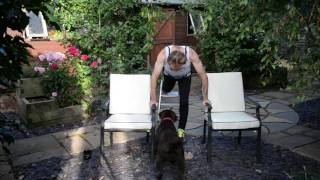 Press Ups Day14 - Twilight Sad - Fourteen Autumns and Fifteen Winters