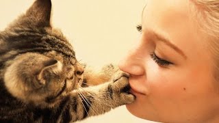Почему кошка ложится на больное место человека?