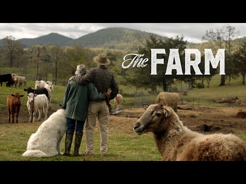 Witness21 Editor  2021 10 13