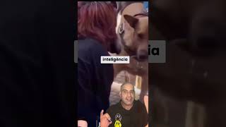 🚨FAKE NEWS: JOVEM QUE SE IDENTIFICA COMO THERIAN É MORDIDA POR CACHORRO EM PRAÇA.