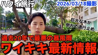 【ハワイ旅行】過去20年で最悪…各地に被害をもたらした嵐が過ぎ去った直後のワイキキの最新の様子をお届けします【海外eSIM】