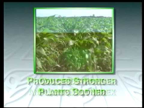 download lagu mp3 mp4 Alpine Plant Foods, download lagu Alpine Plant Foods gratis, unduh video klip Alpine Plant Foods