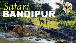 On spot booking Bandipur Jungle Safari | 🐅 Tiger spotted | Asia