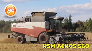 Harvest 2025 | Rostselmash Acros 560 & Power Stream 600 header