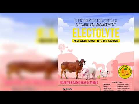 Electrolyte Powder Cattle