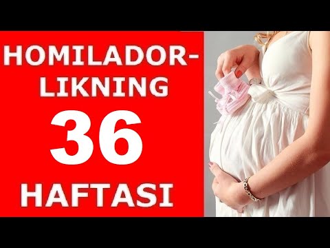 HOMILADORLIKNING 36-HAFTASI / ХОМИЛАДОРЛИКНИНГ 36-ХАФТАСИ