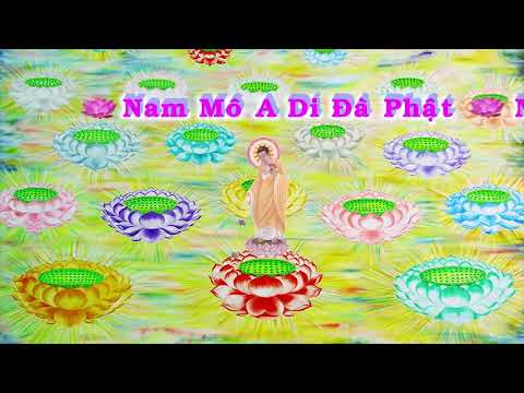 HD | Kinh A Di Đà Sớ Sao Diễn Nghĩa, tập 185 [phụ đề] - Lão Pháp Sư Tịnh Không