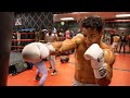 TRAINING TO BOX / VLOG #6