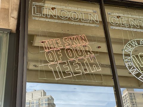 One Man's Opinion Episode 76: The Skin of Our Teeth on Broadway