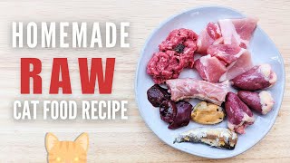 Simple Raw Food Recipe For Cats (Beginner Friendly)