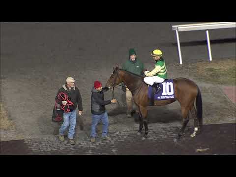 Turfway Park Report 12/11/2019