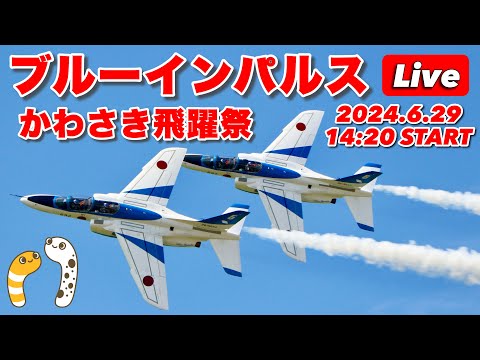年確認中 川崎・渋谷フクラス・二子新地・入間基地・松島基地帰投ライブ関連 ブルーインパルス YouTubeライブ配信アーカイブのサムネイル