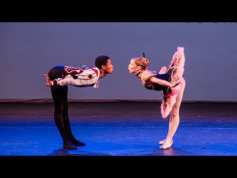 Pdd Harlequinade