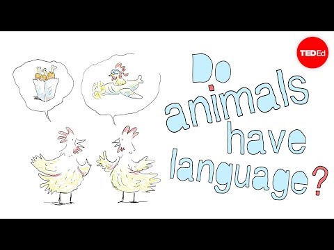 Do animals have language? - Michele Bishop