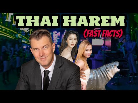 Idiot Influencers - Legal Mindset