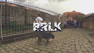 Download lagu Brolik BRLK... mp3