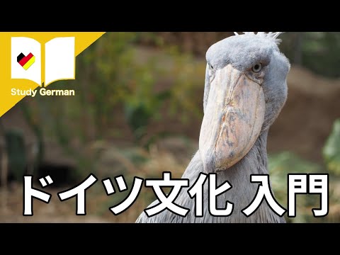 ドイツの冬: 極渦のせいで私たちが今直面していること