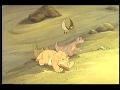 Opening To The Chipmunk Adventure 1998 VHS
