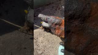Derrepente olha o que tirei na pesca magnética 🧲🤔