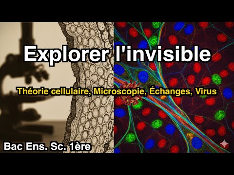 Une structure complexe : la cellule