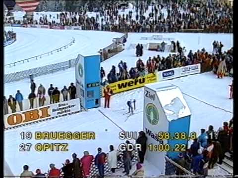 Skid-VM 1987, Oberstdorf - 20 km (f), damer