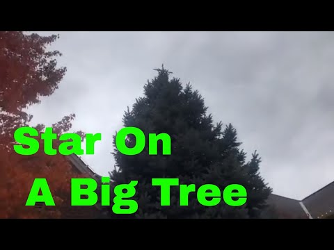 How To Put A Star In A 32' Evergreen Tree