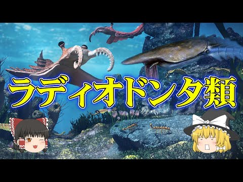 D-(+)-ツラノースの構造。