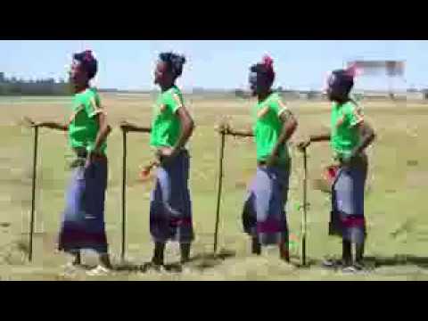 Asha Birree-Numaa Waliin Tola**New oromo music**2017