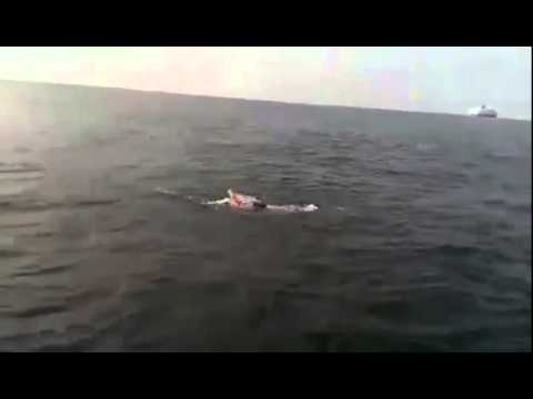 Avram Iancu traverseaza Canalul Manecii