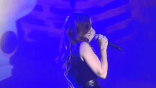 Merche - Perro y gato - Sant Joan Despí